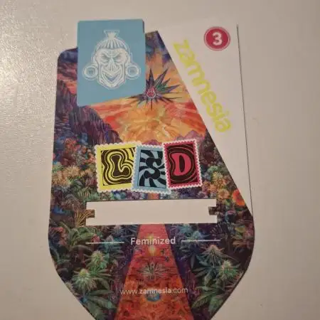Zamnesia LSD