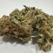 Poor #3 clones ICE Cream King