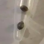 快乐先成长