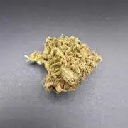 [2nd Run] NYC diesel automatic