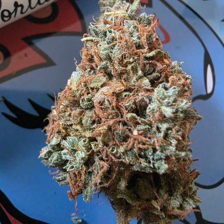[2nd Run] Sweet Cheese Auto