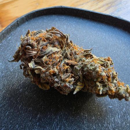 Purple Haze Automatic