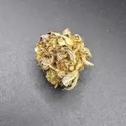 [2nd Run] Lemon haze auto