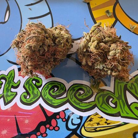 Bruce Banner Auto