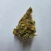Tropicana Cookies Automatic