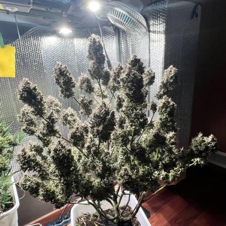 Preparing for winter