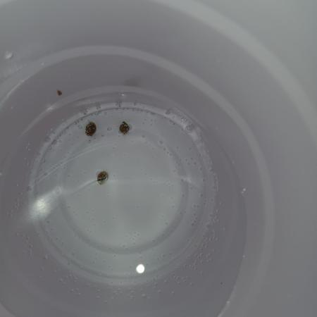 Hydro Unlimited Grow2