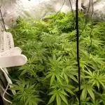 Hydro Unlimited Grow