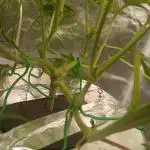 Hydro Unlimited Grow2