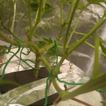 Hydro Unlimited Grow2