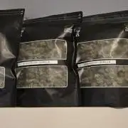 Strawberry gorilla living soil overkill