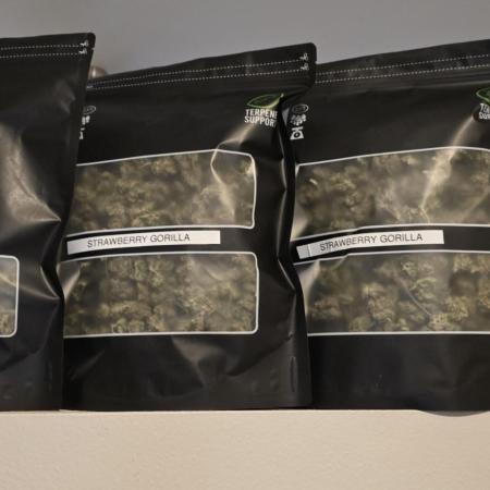 Strawberry gorilla living soil overkill