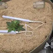 Northern lights (Overkill)