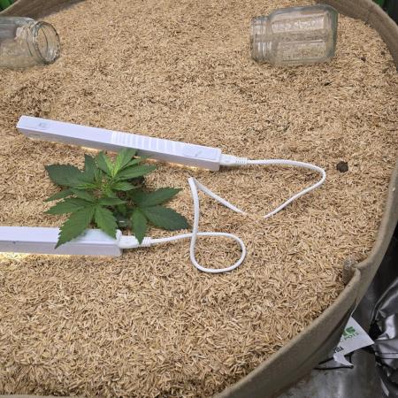 Northern lights (Overkill)