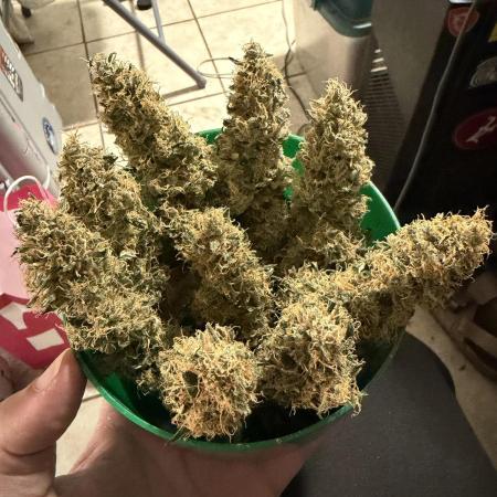 Banana Blaze Auto
