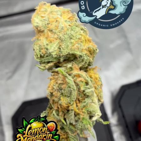 Mix Pack