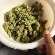 4 Pot Grow #2