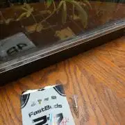 First 42fastbud