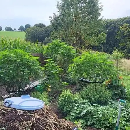 Outdoor Session 25'