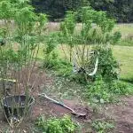Outdoor Session 25'