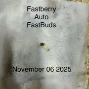 Fastbuds Fastberry Auto