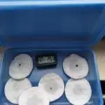 Winter Grow 2025