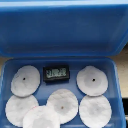 Winter Grow 2025