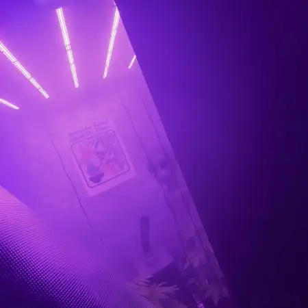 Bestbuddiez420 second grow!