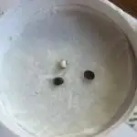 50 dragons + do si dos