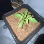 1st run ever