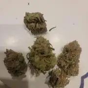 Banana bread auto & all gas og auto