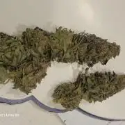 Banana bread auto & all gas og auto