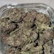 BlueberryCupcake,Donuts,GarlicBudder