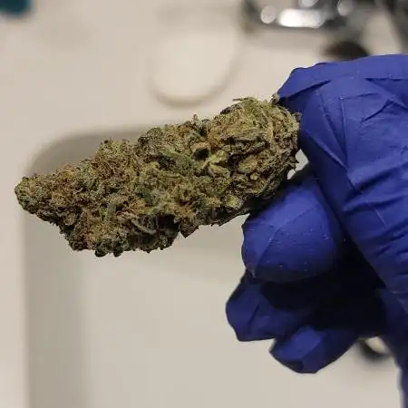 BlueberryCupcake,Donuts,GarlicBudder