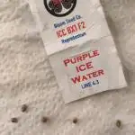Ice Cream Cake Bx1