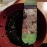 Auto Rainbow Sherbet #11- Advanced Seeds