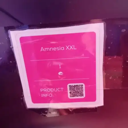 Amnesia XXL - Fem    "LINDA SEEDS"