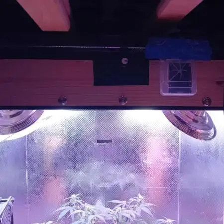 Moby Dick Auto  Barney's Farm Microgrow