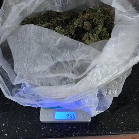 1st grow Sweet pure cbd