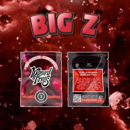 Big Z