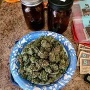 Blue Dream Seed Supreme