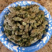 Maui Wowie Seed Supreme