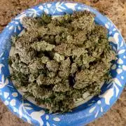 Maui Wowie Seed Supreme