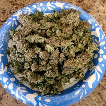 Maui Wowie Seed Supreme