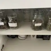 70x70x160 Spider Farmer
