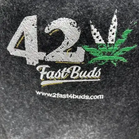 Fastbuds fems
