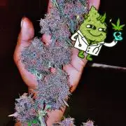 Sweet