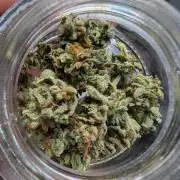 First try at auto outdoors