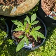 Outdoors PPP