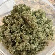 Northern Lights Auto